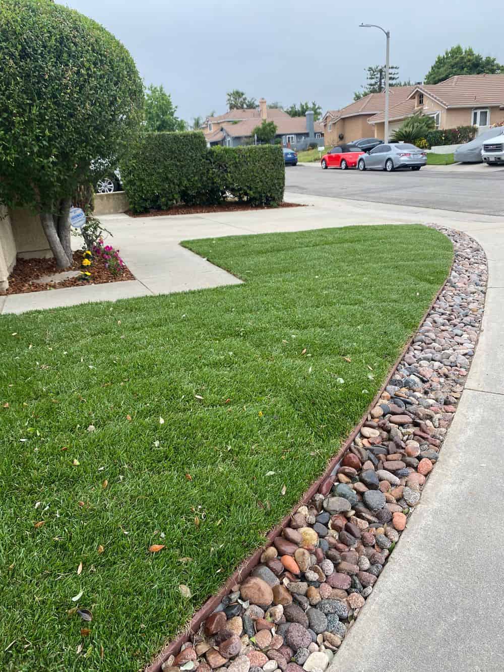 Landscape Maintenance and Renovation image