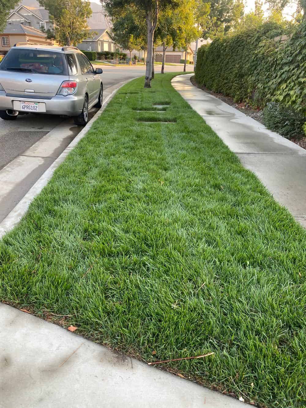 Lawn Care Services image