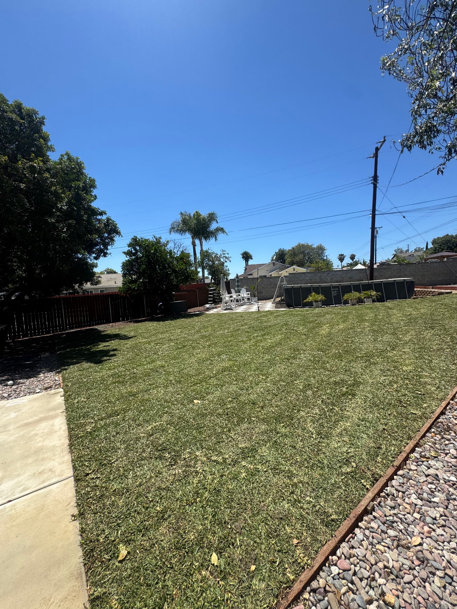 Gallery photos for St. Augustine Sod, Sprinkler Upgrades, and Raised Garden Beds Done Right: Image #1