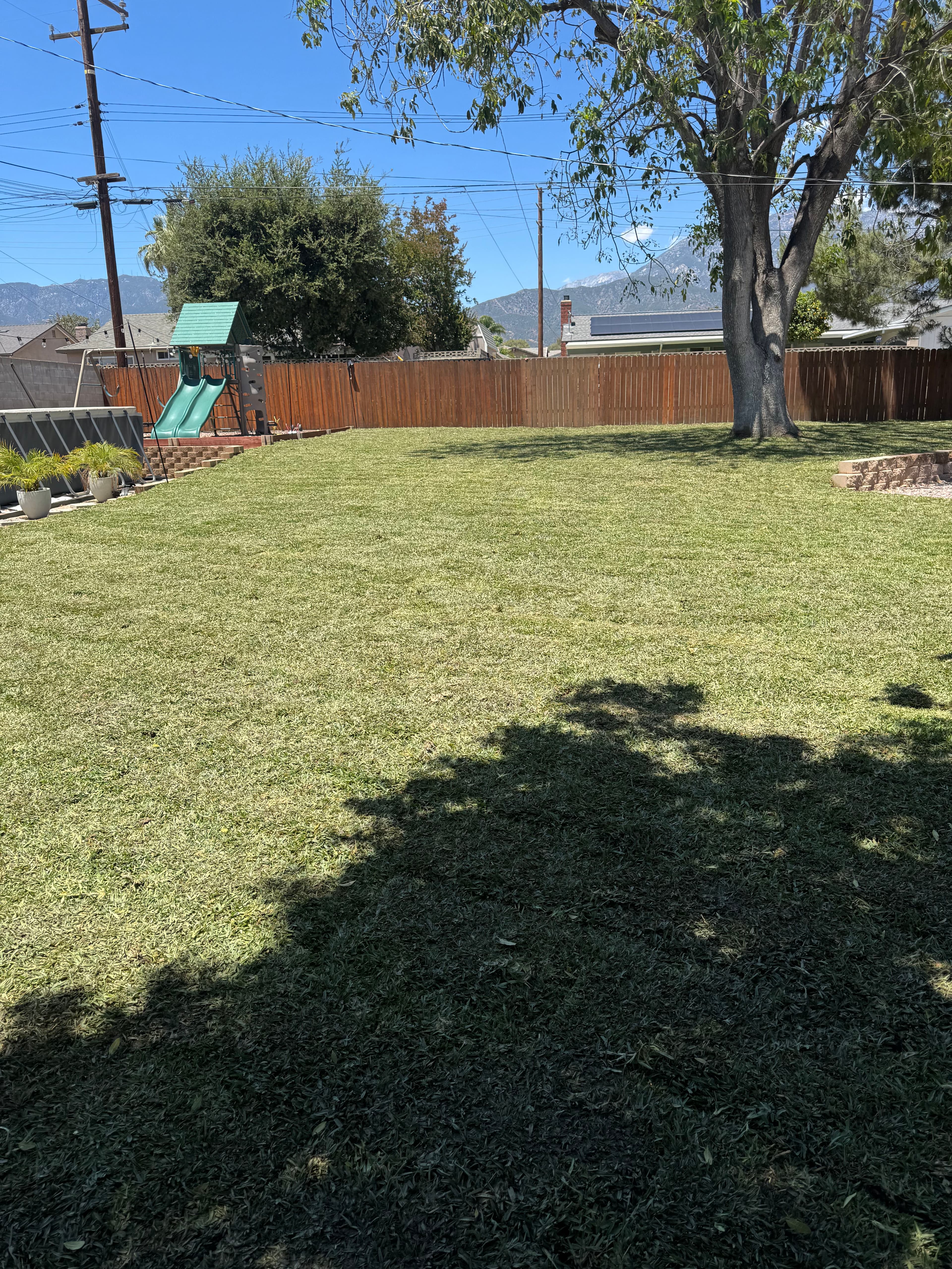 Project St. Augustine Sod, Sprinkler Upgrades, and Raised Garden Beds Done Right image