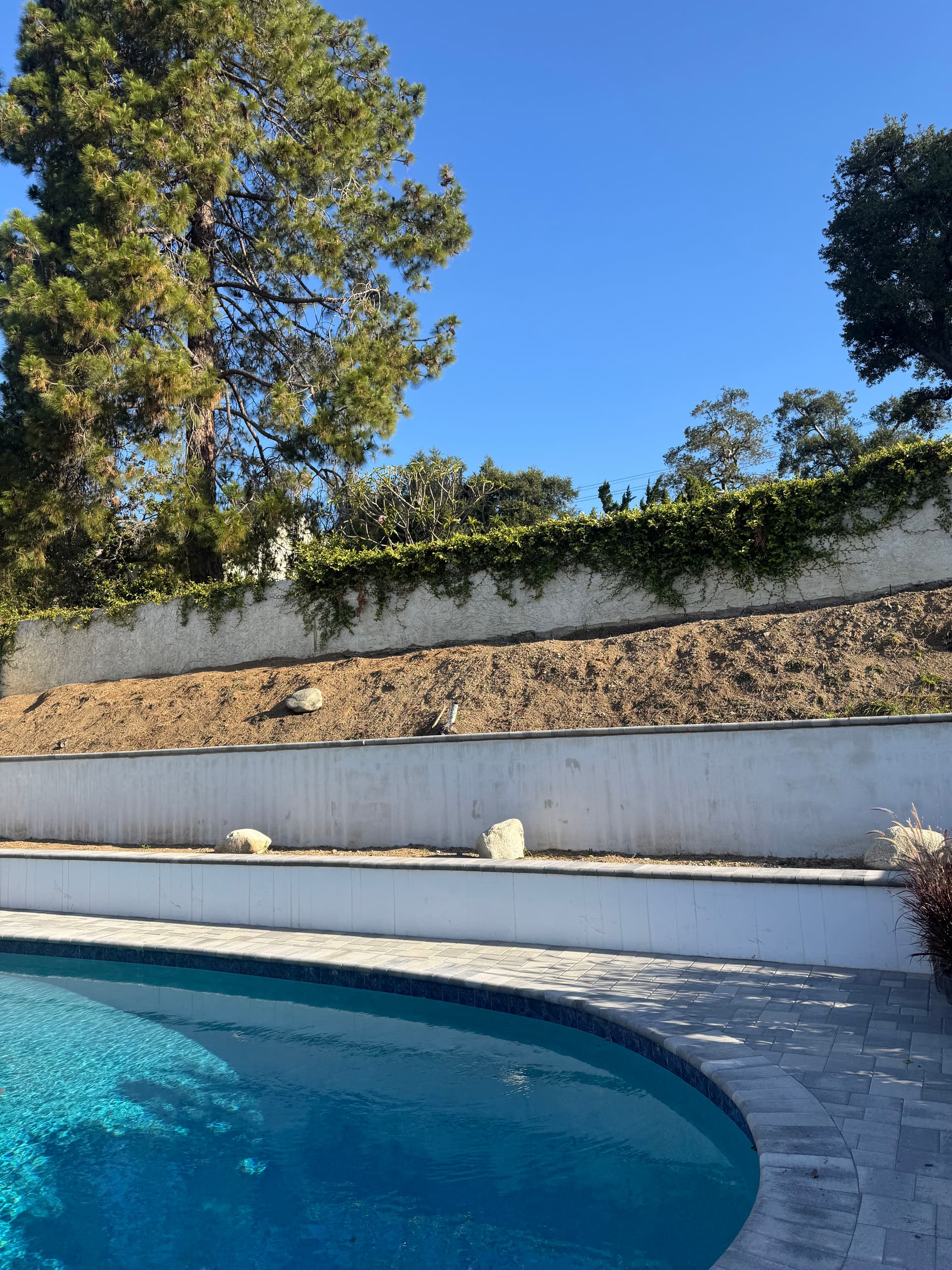 Full Backyard Landscape Renovation Done Right in Glendora image