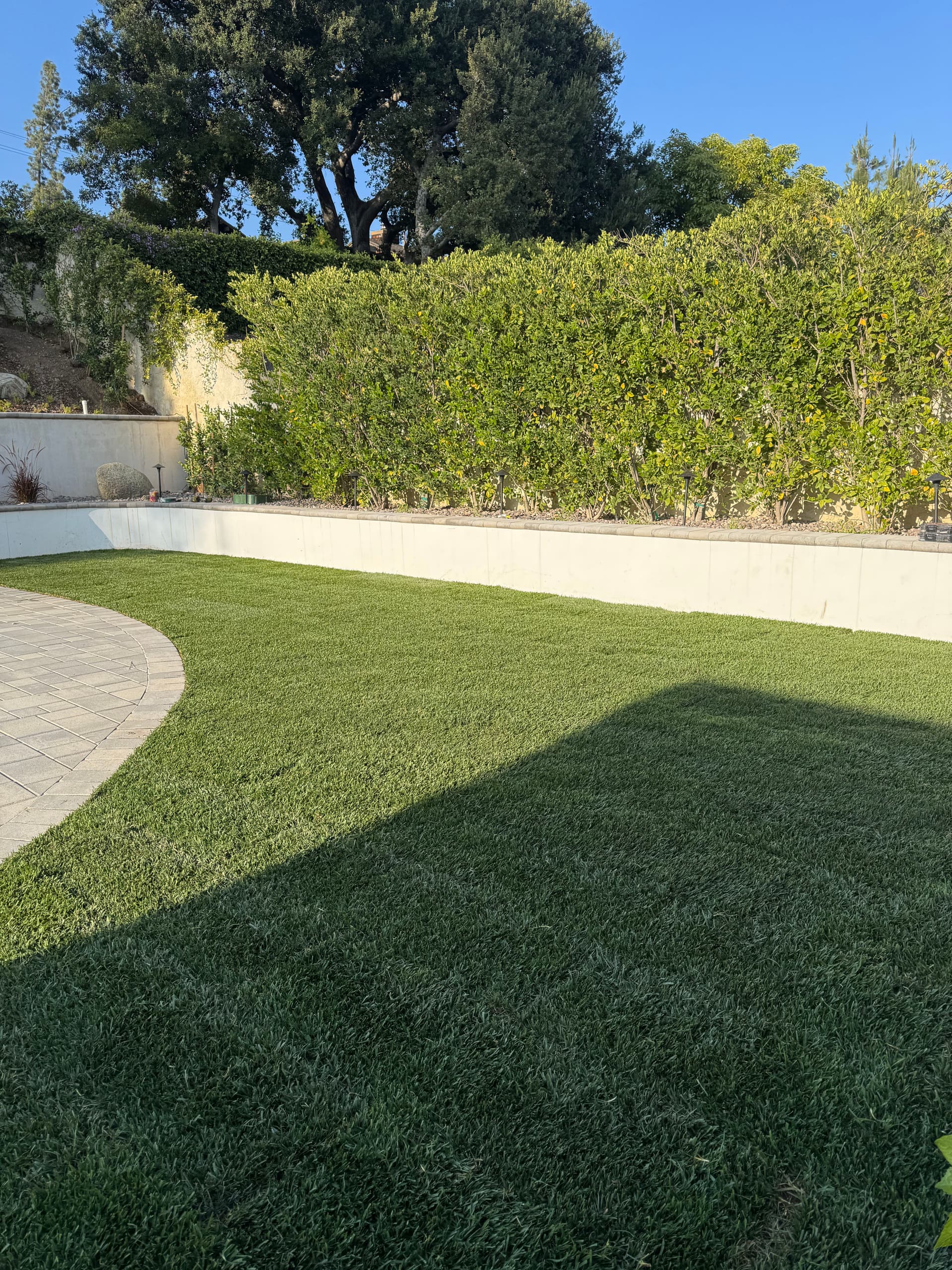 Gallery photos for Full Backyard Landscape Renovation Done Right in Glendora: Image #4