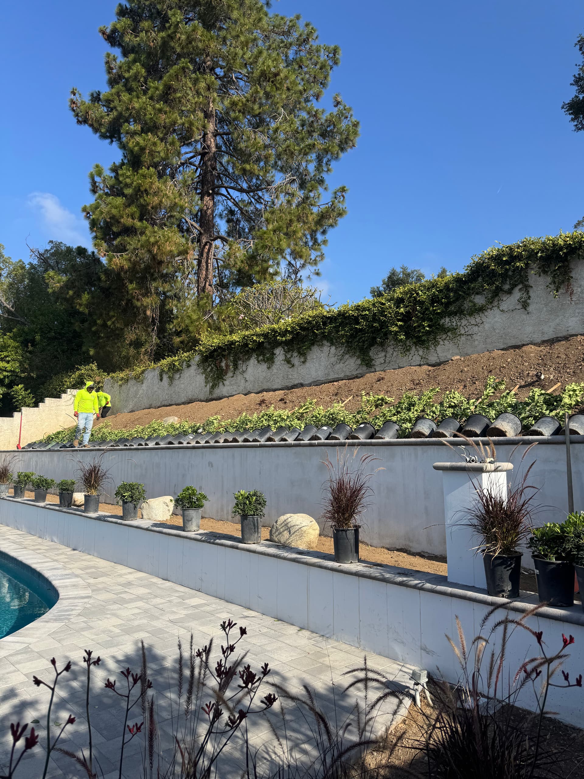 Gallery photos for Full Backyard Landscape Renovation Done Right in Glendora: Image #1