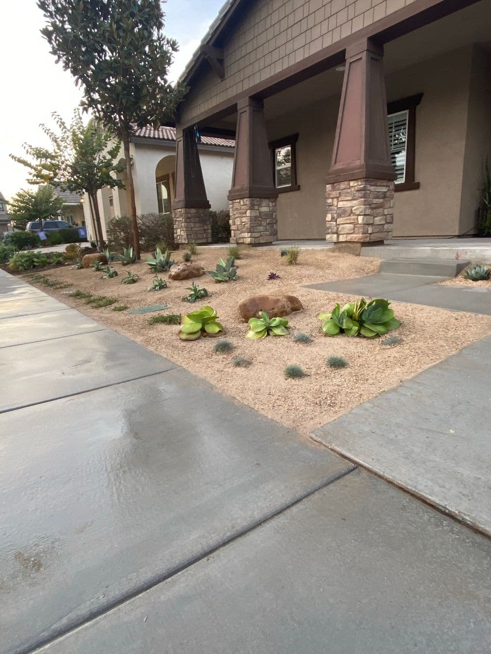Front Yard Xeriscape Transformation image
