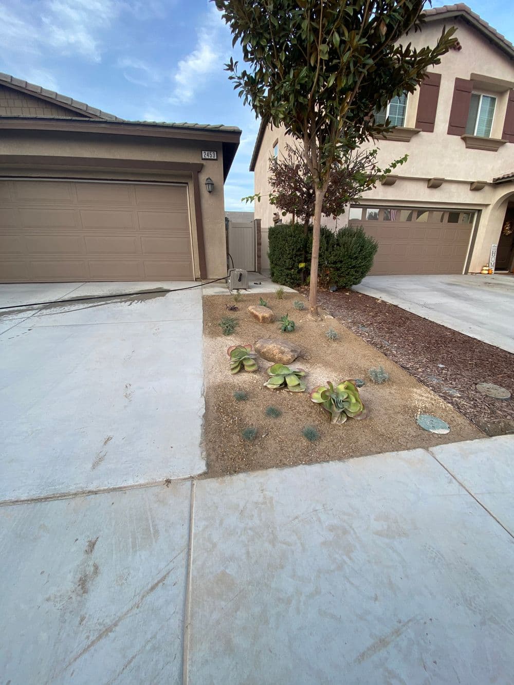 Gallery photos for Front Yard Xeriscape Transformation: Image #3