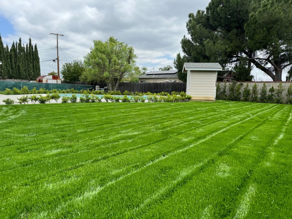 Gallery photos for Residential Backyard Lawn Installation in Chino, CA: Image #2
