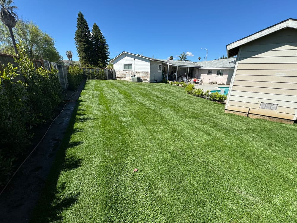 Residential Backyard Lawn Installation in Chino, CA image