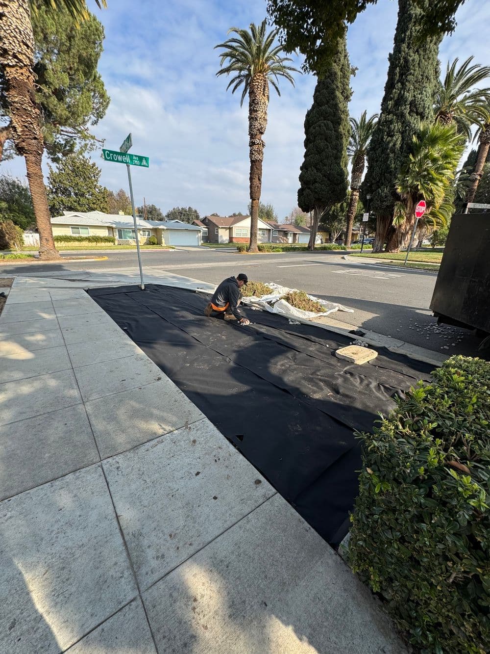 Gallery photos for Drought-Resistant Streetside Landscaping: Image #1