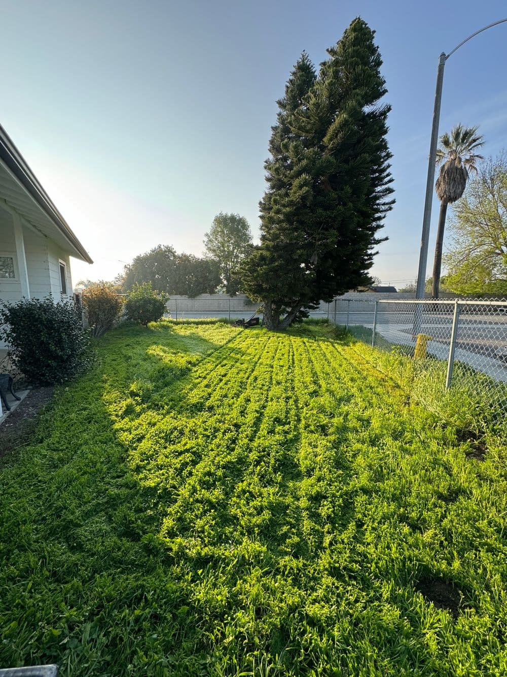 Gallery photos for Lawn Renovation in Chino Hills: Image #1