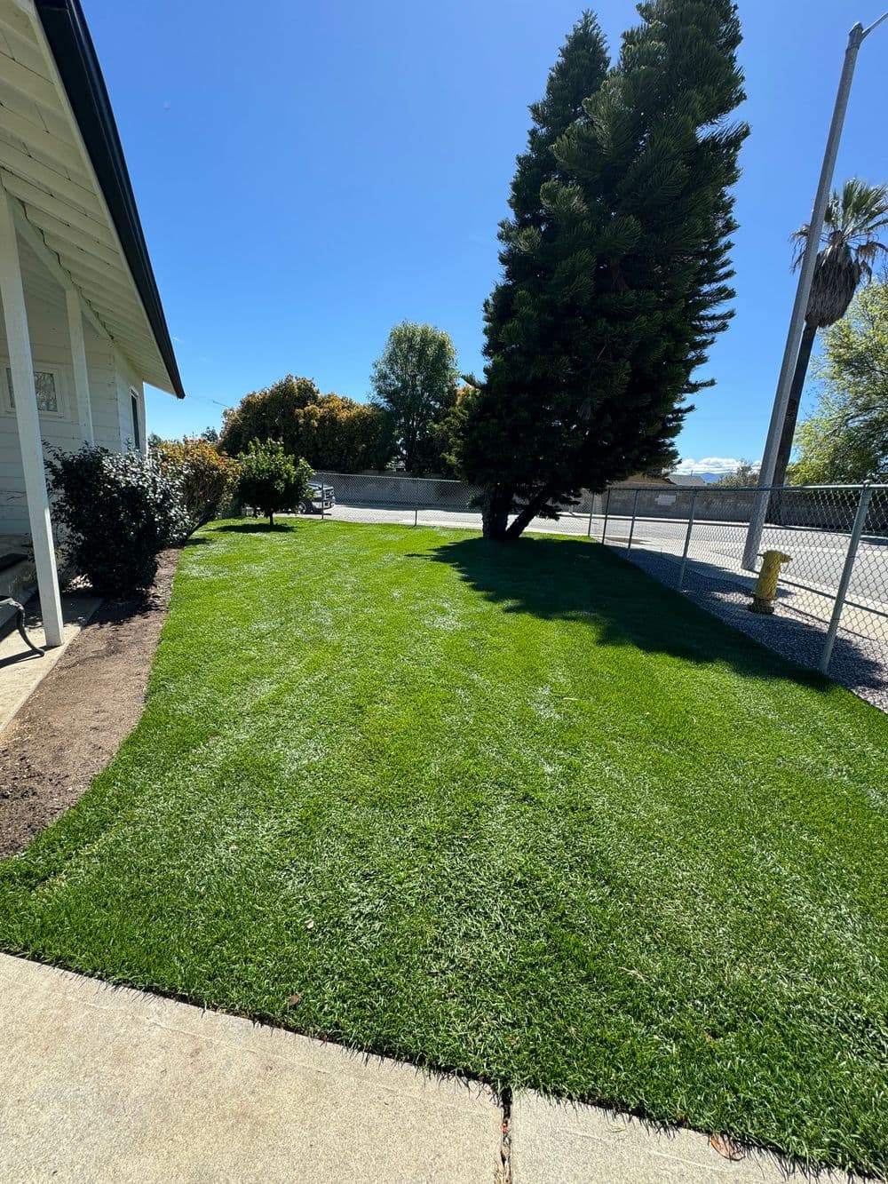 Lawn Renovation in Chino Hills image