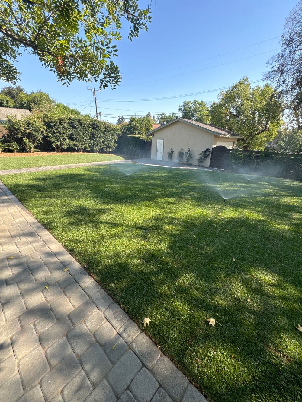 Gallery photos for Landscape Renovation and Lawn Installation in Claremont: Image #2
