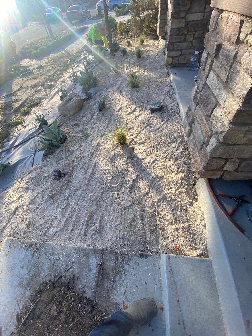 Gallery photos for Front Yard Xeriscape Transformation: Image #2