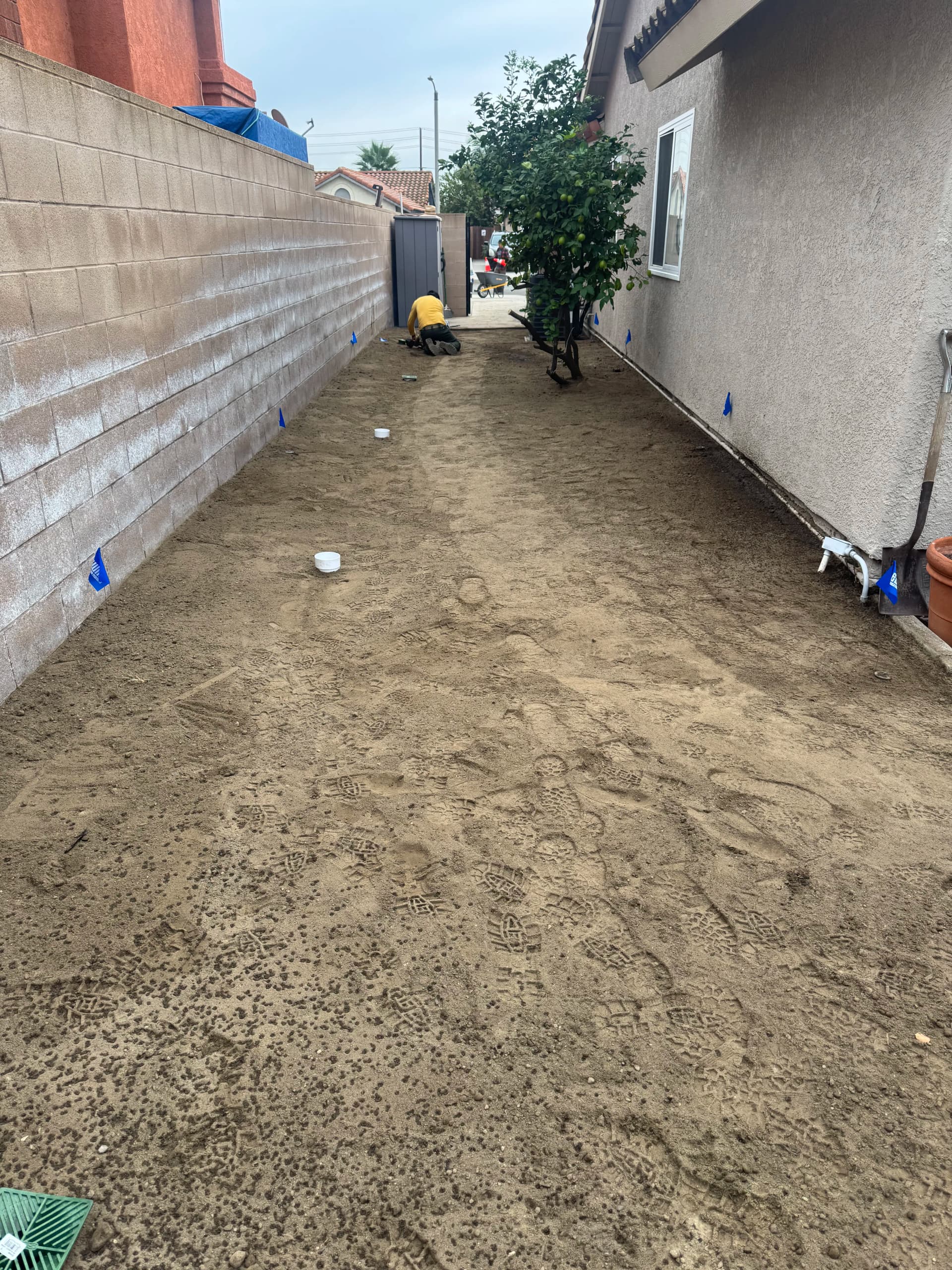 Gallery photos for Drainage Fix, Regrading, and New Lawn Installation That Actually Works: Image #3