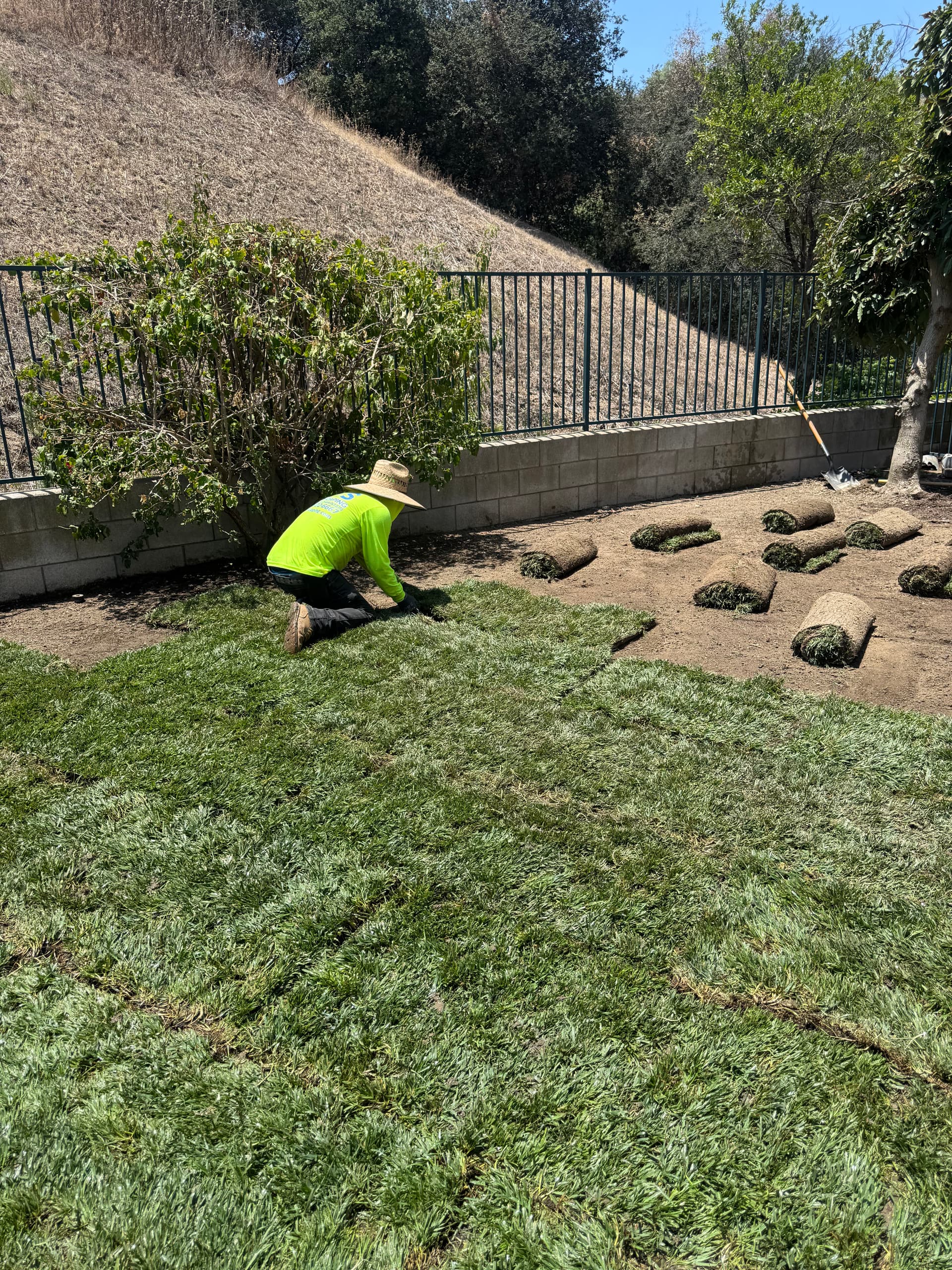 Gallery photos for Dead Grass and Drainage Problems Fixed in Chino Hills: Image #1