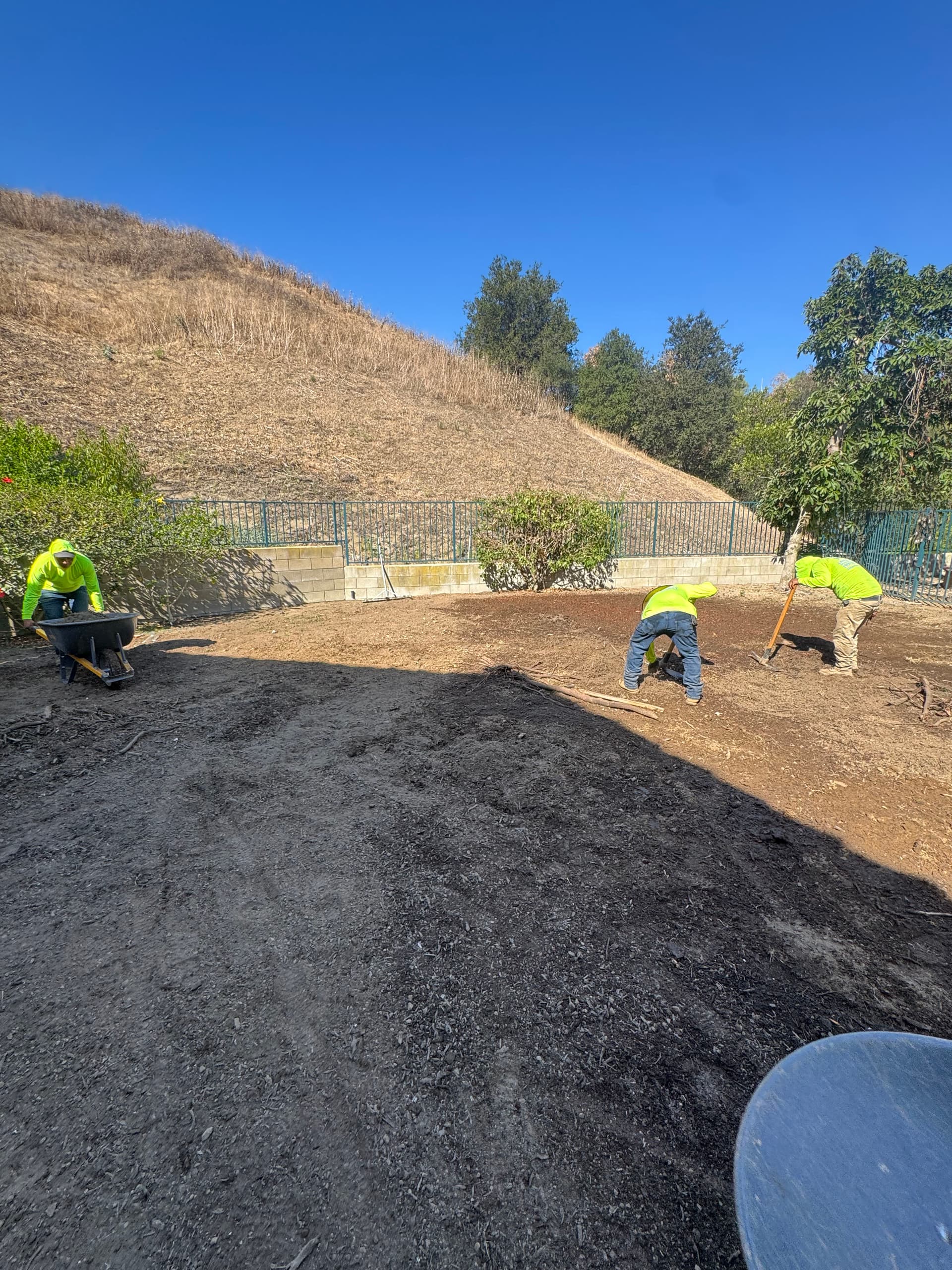 Gallery photos for Dead Grass and Drainage Problems Fixed in Chino Hills: Image #4