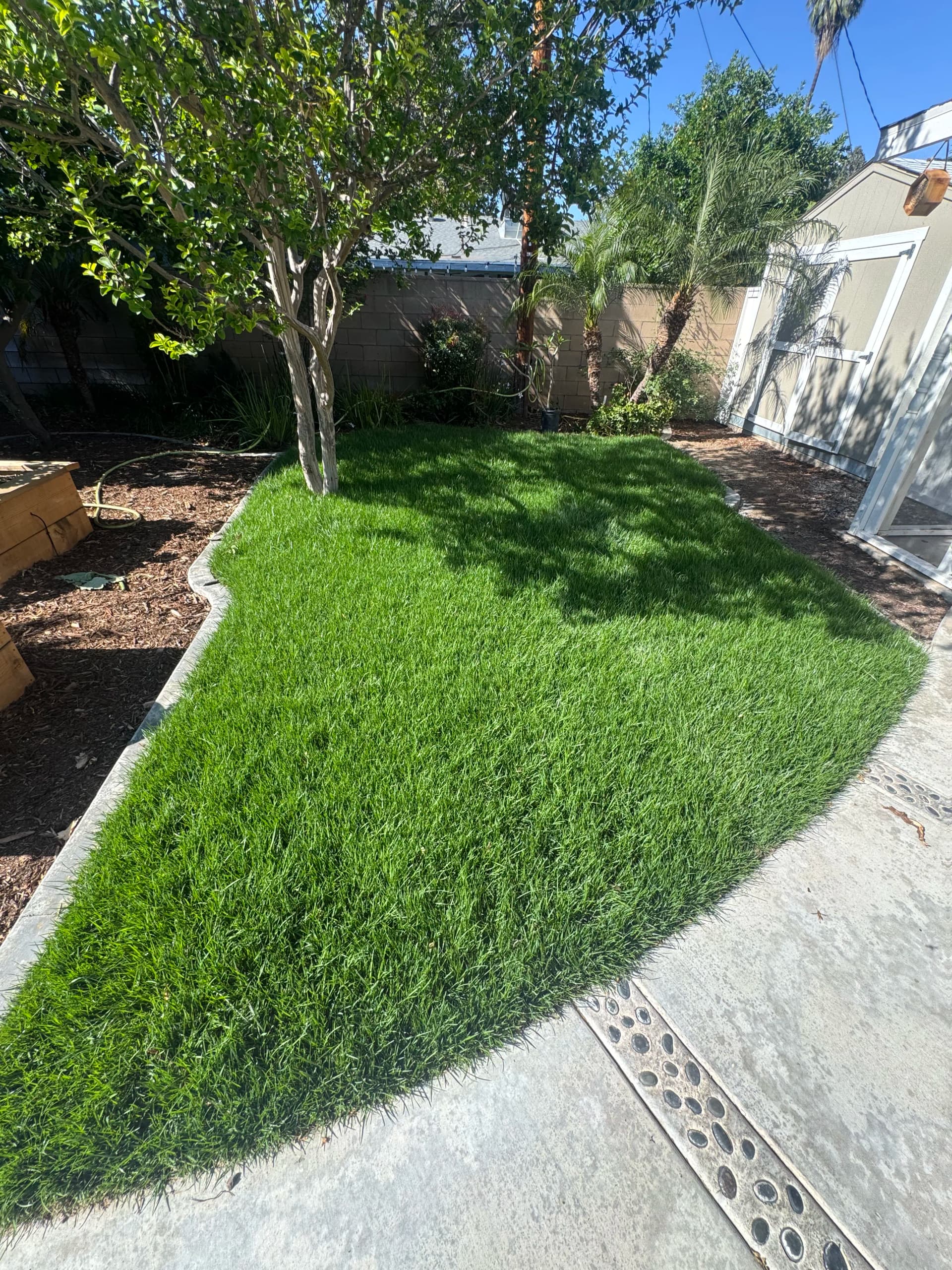 Riverside Sod Installation with Irrigation and Concrete Curbing image