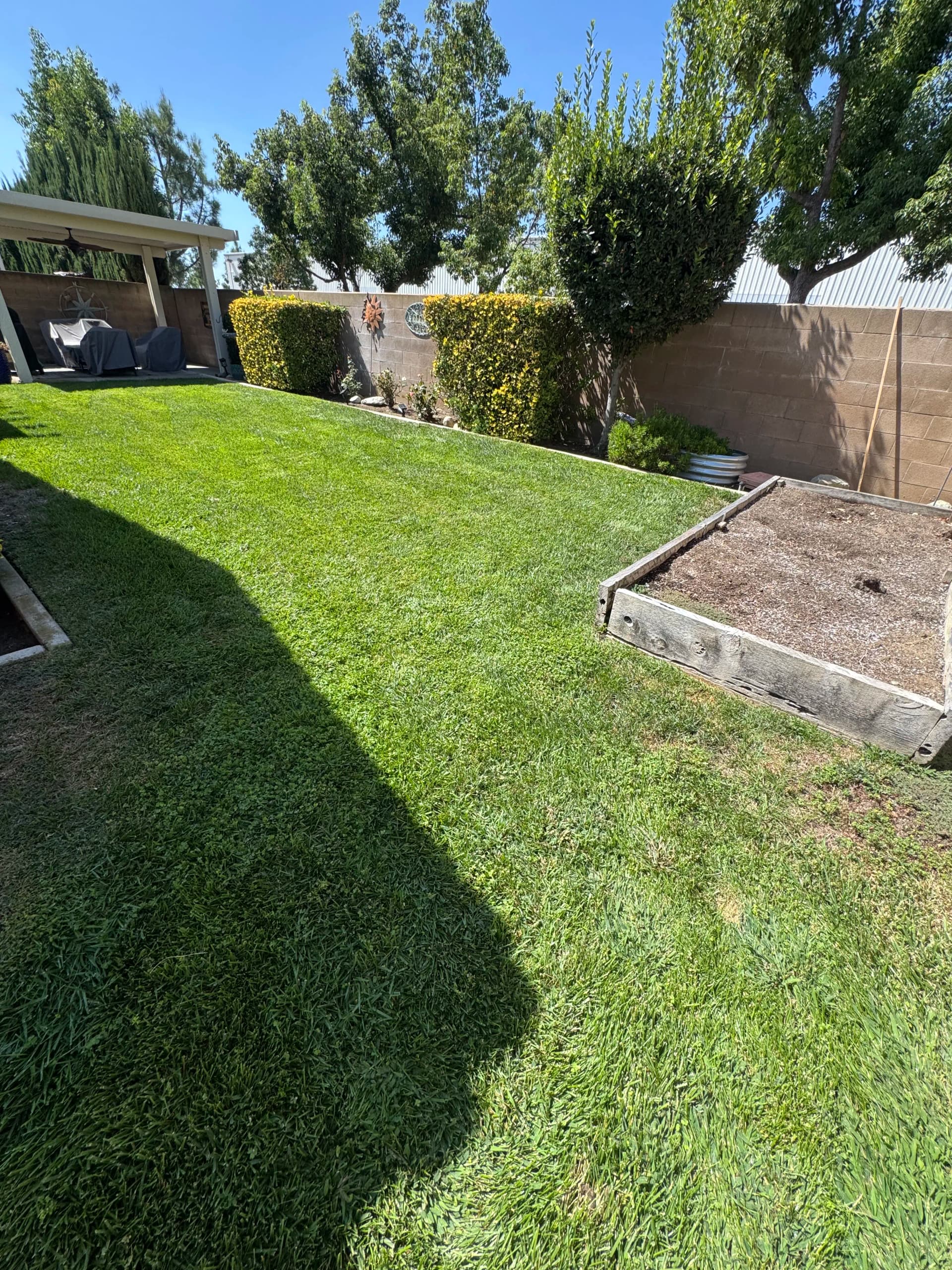 Gallery photos for Drainage Fix, Regrading, and New Lawn Installation That Actually Works: Image #1
