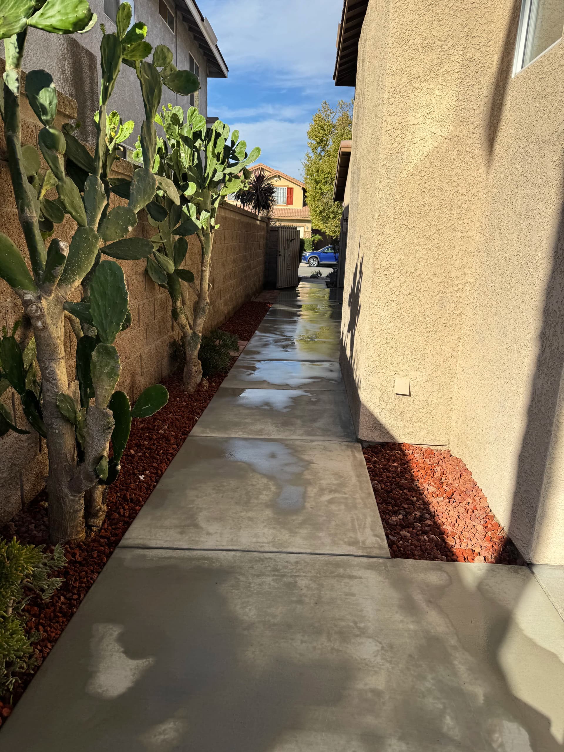 Drainage Fix, New Walkway, Pool Coping Repair and Desert Landscaping image