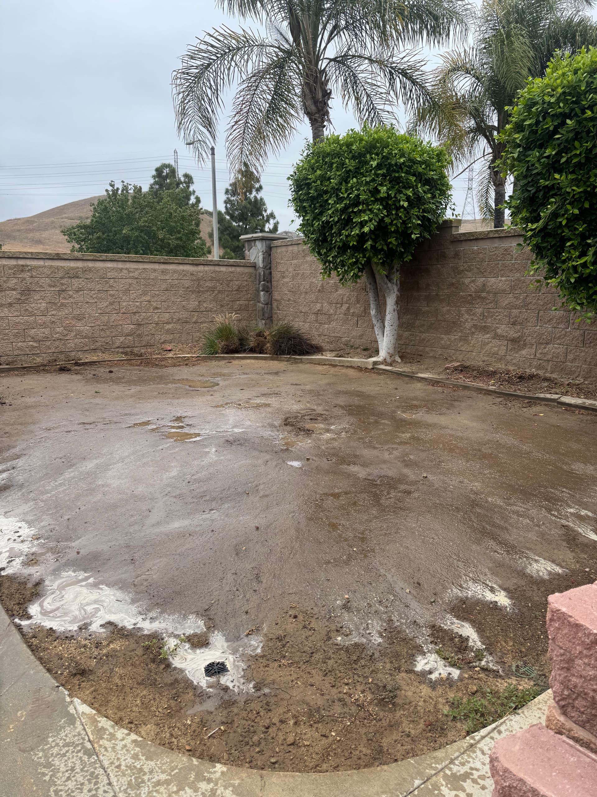Gallery photos for Low Maintenance Backyard Renovation With Drought-Tolerant Design: Image #1