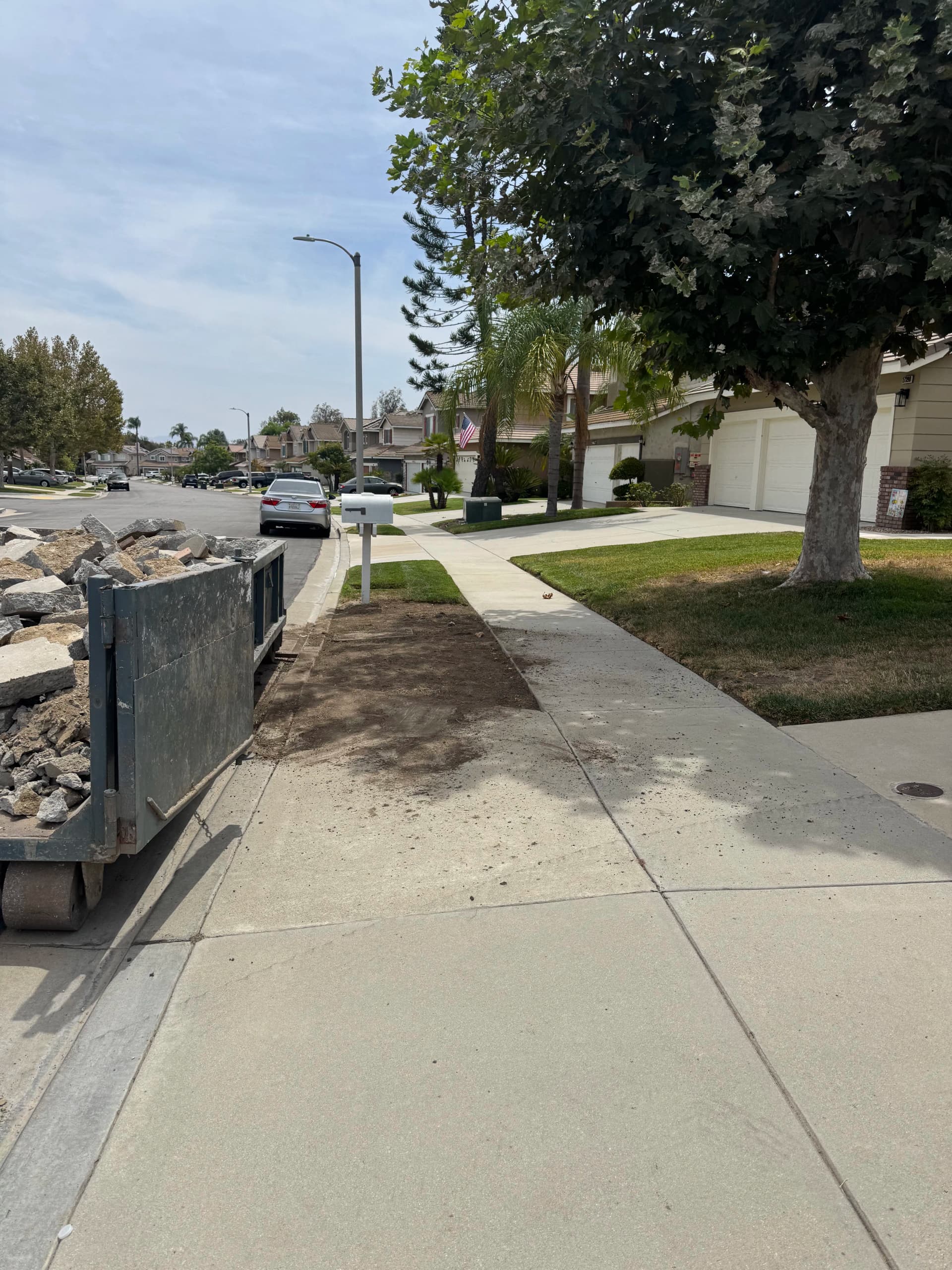 Gallery photos for Drainage Fix, New Walkway, Pool Coping Repair and Desert Landscaping: Image #6