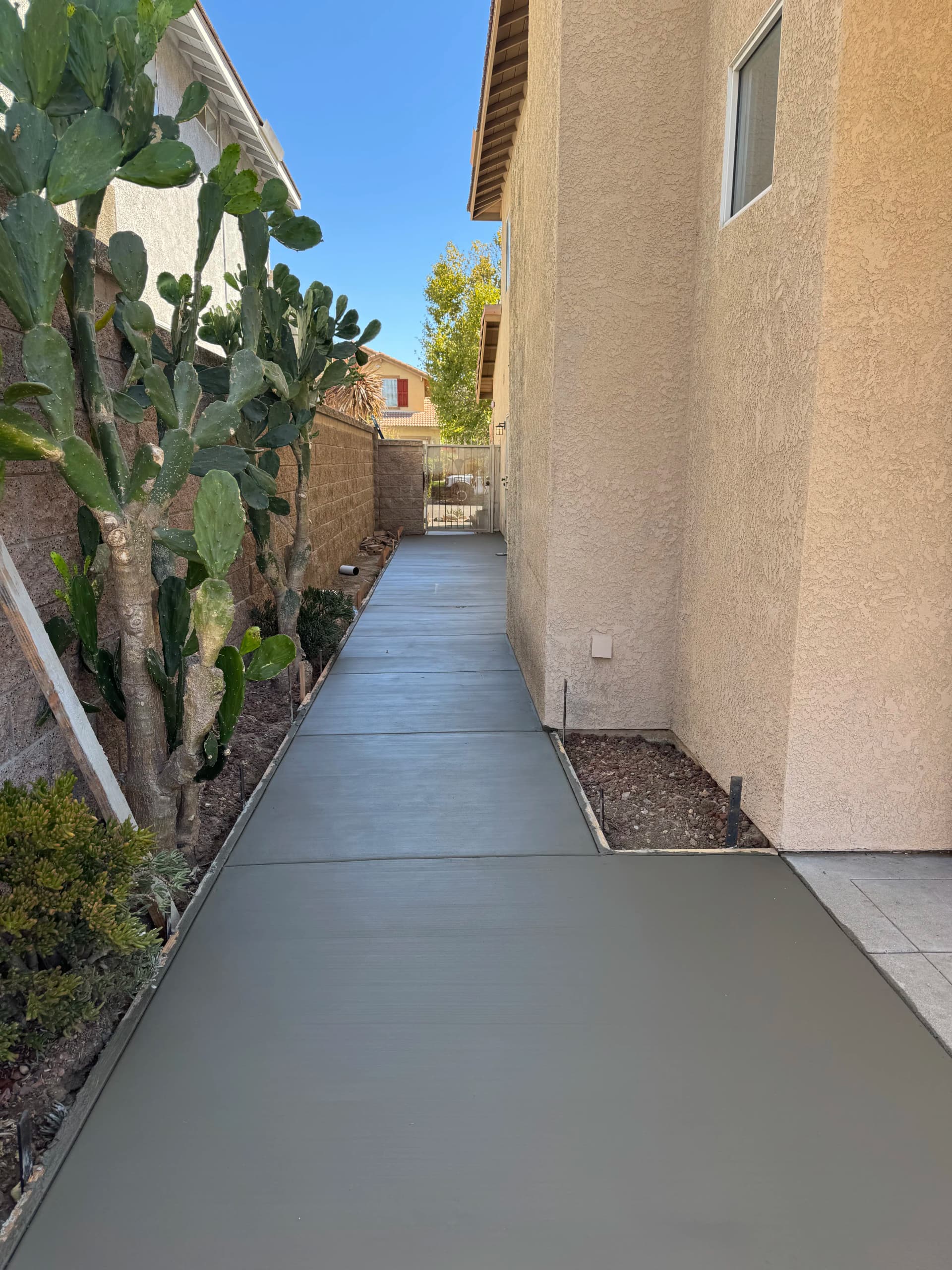Gallery photos for Drainage Fix, New Walkway, Pool Coping Repair and Desert Landscaping: Image #1