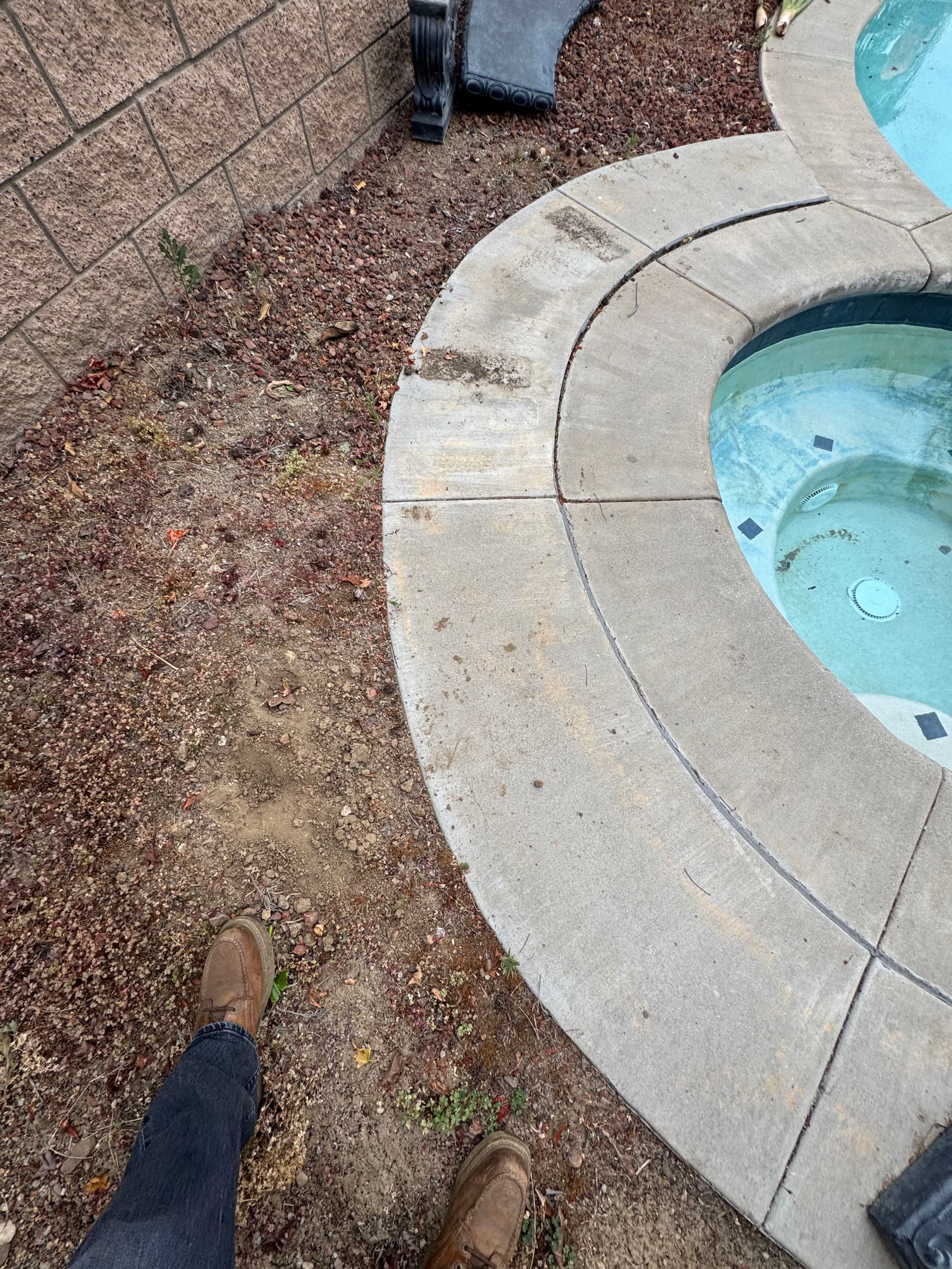 Gallery photos for Low Maintenance Backyard Renovation With Drought-Tolerant Design: Image #7