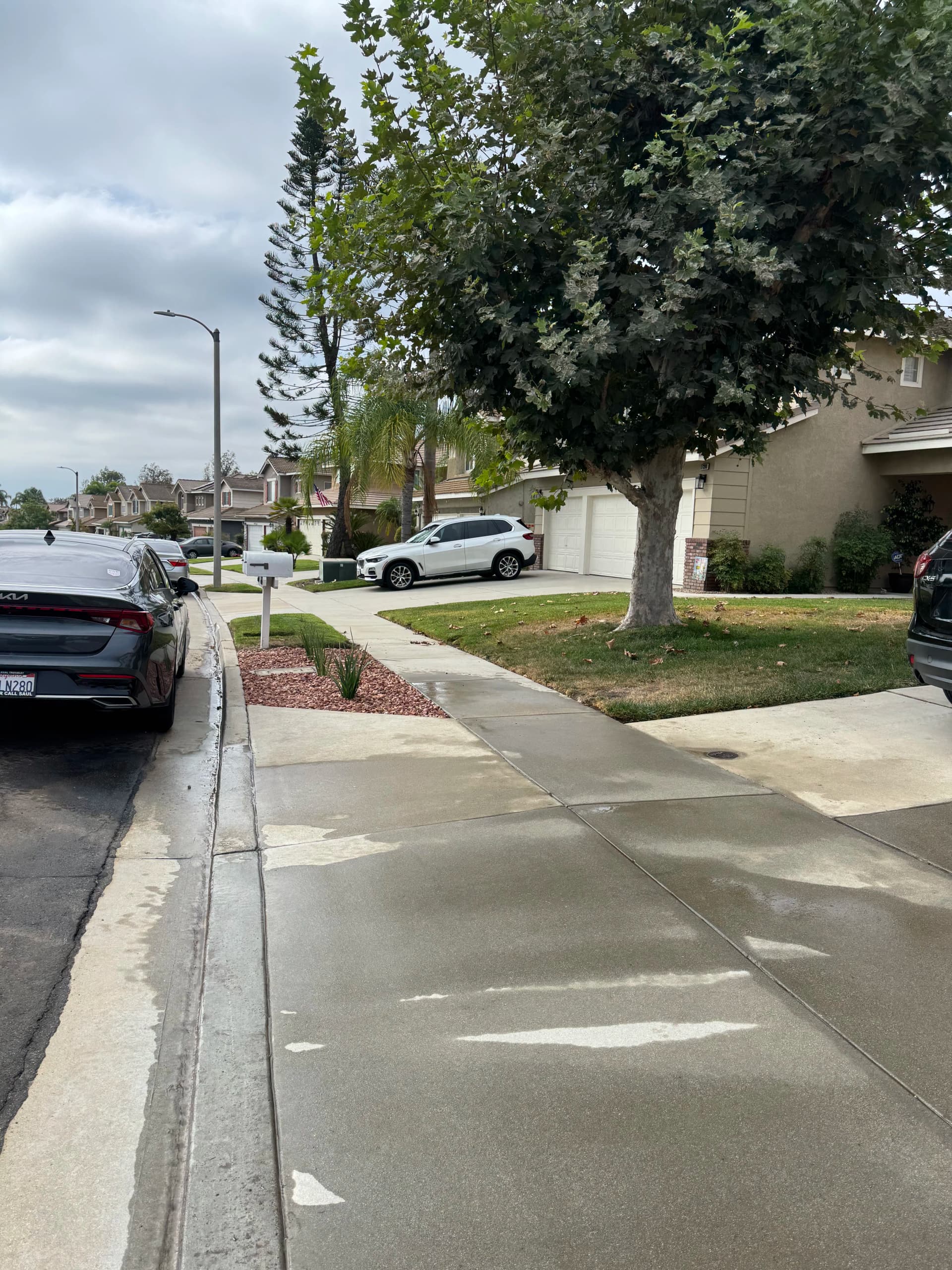 Gallery photos for Drainage Fix, New Walkway, Pool Coping Repair and Desert Landscaping: Image #4