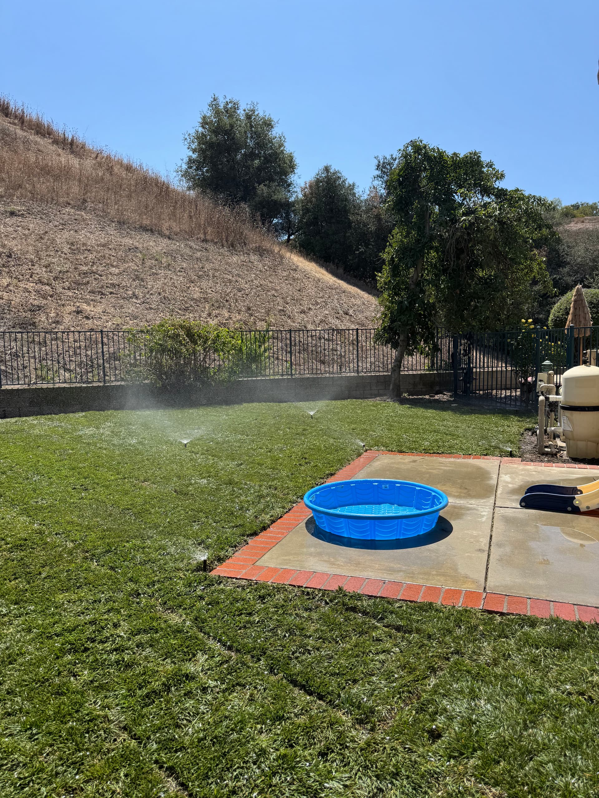 Dead Grass and Drainage Problems Fixed in Chino Hills image