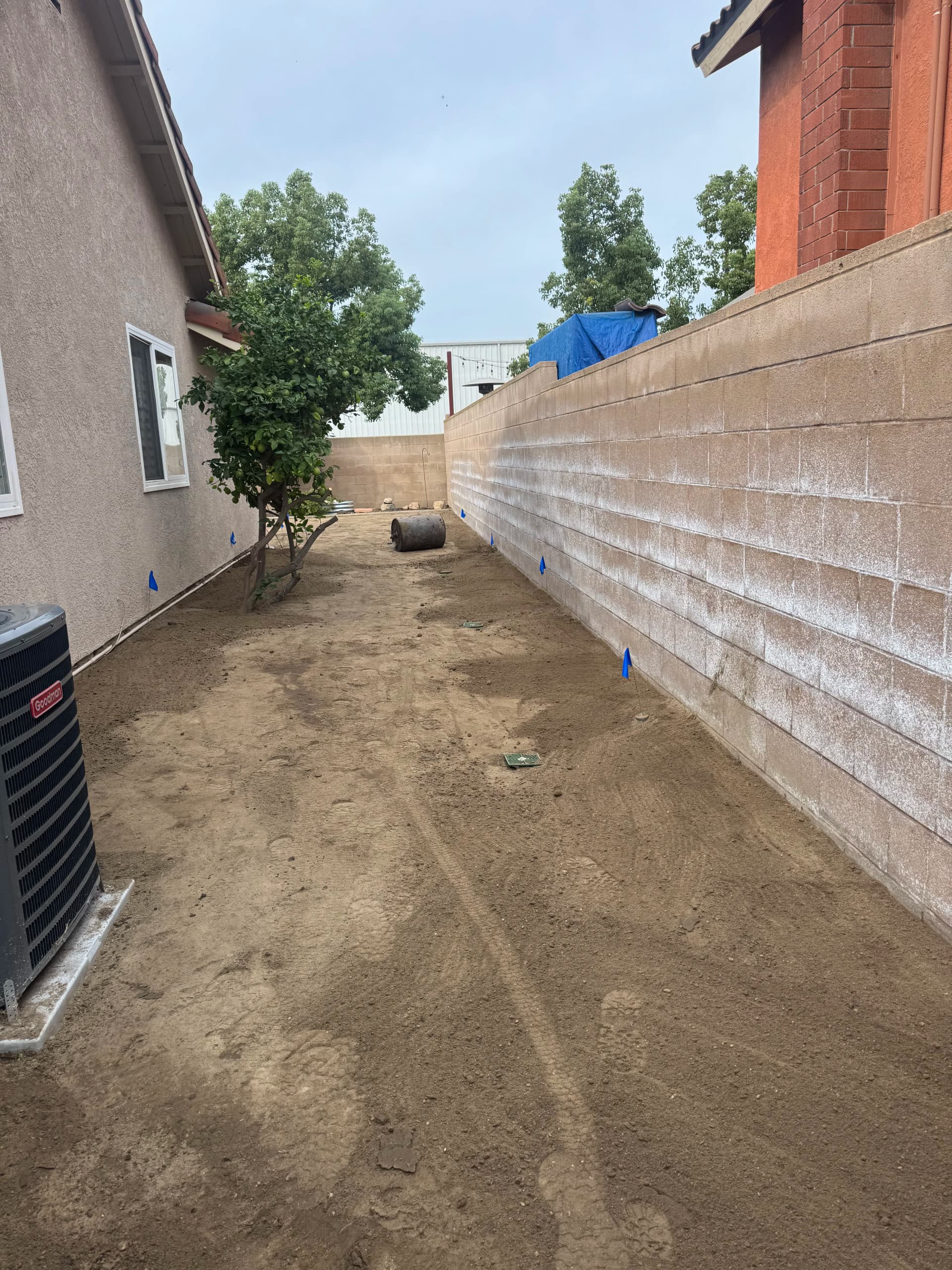 Gallery photos for Drainage Fix, Regrading, and New Lawn Installation That Actually Works: Image #2