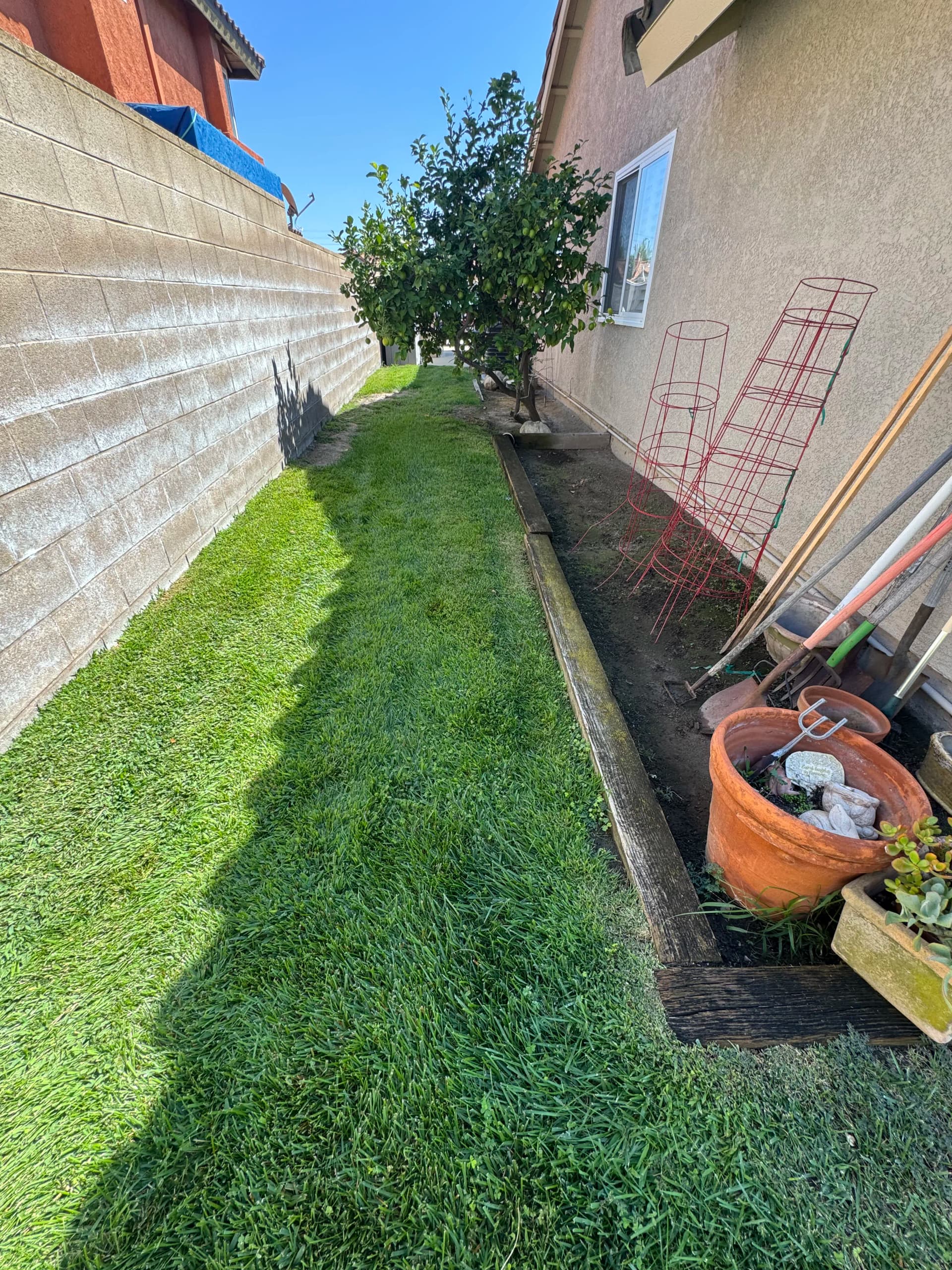Gallery photos for Drainage Fix, Regrading, and New Lawn Installation That Actually Works: Image #4
